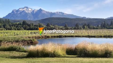 Casa Yagüe, descubriendo los vinos australes