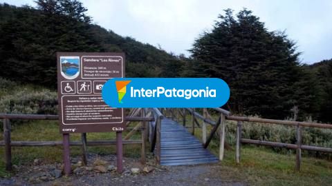 Magallanes National Reserve