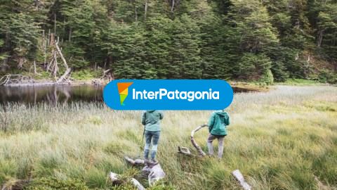 What to see in Coyhaique: the capital of Aysén