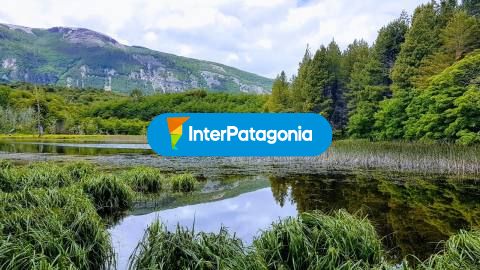 Coyhaique National Reserve