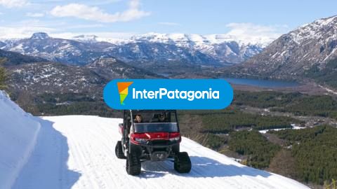 Snowmobiles