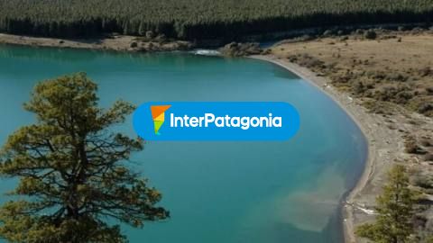 Villa Lago Meliquina: hacer una pausa y desconectar