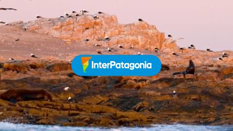 Islote de Lobos, the most recent national park