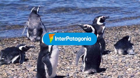 Islote de Lobos, the most recent national park