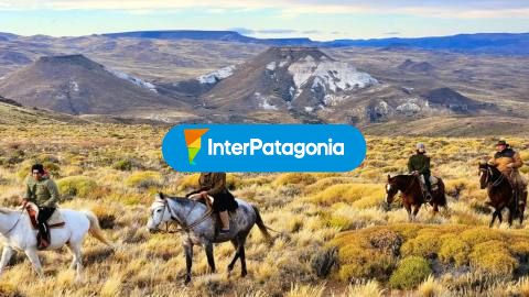 Estancia El Sauzal: cabalgatas por la estepa de Pichileufú