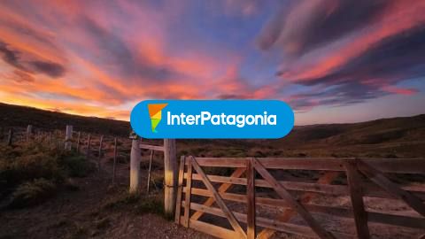 Estancia El Sauzal: cabalgatas por la estepa de Pichileufú