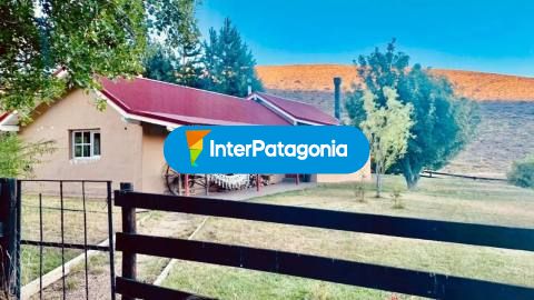 Estancia El Sauzal: cabalgatas por la estepa de Pichileufú
