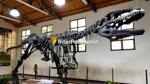 Sobre los dinosaurios en el museo de El Chocón