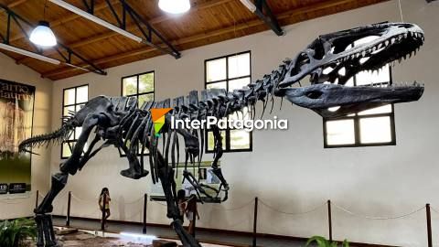 Sobre los dinosaurios en el museo de El Chocón