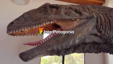 All about Dinosaurs at El Chocón’s Museum