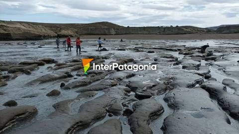 Monte León National Park, on the Seashore