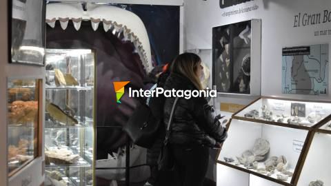 Bariloche Paleontological Association