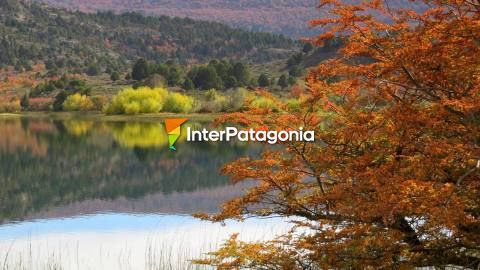 A la laguna de los Giles y lago Pulmarí