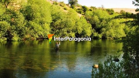 A la laguna de los Giles y lago Pulmarí