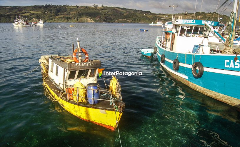 Dalcahue, intermediate and commercial port