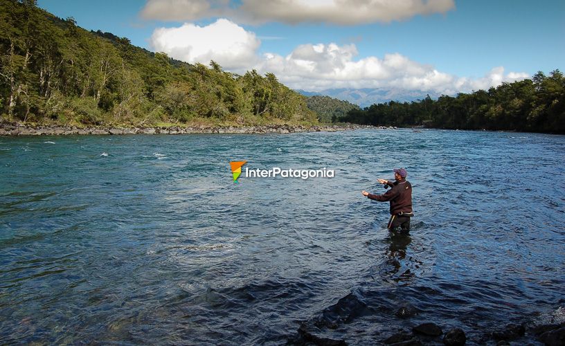 Petrohué River