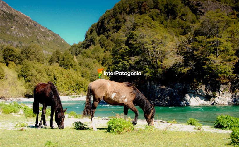 Por el borde del río Tigre