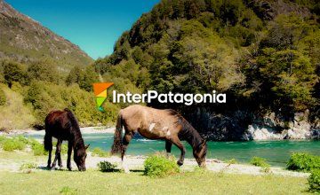 Touring around Alto Palena on horseback