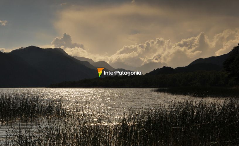 El lenguaje de la tierra