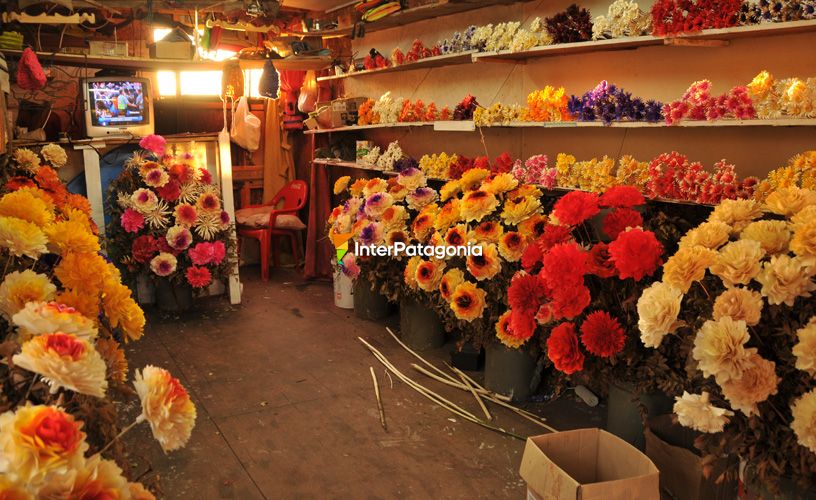 Roses, dahlias, daisies and chrysanthemums