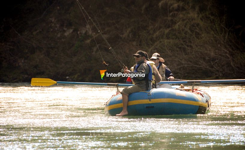 Suerte de pescador avezado