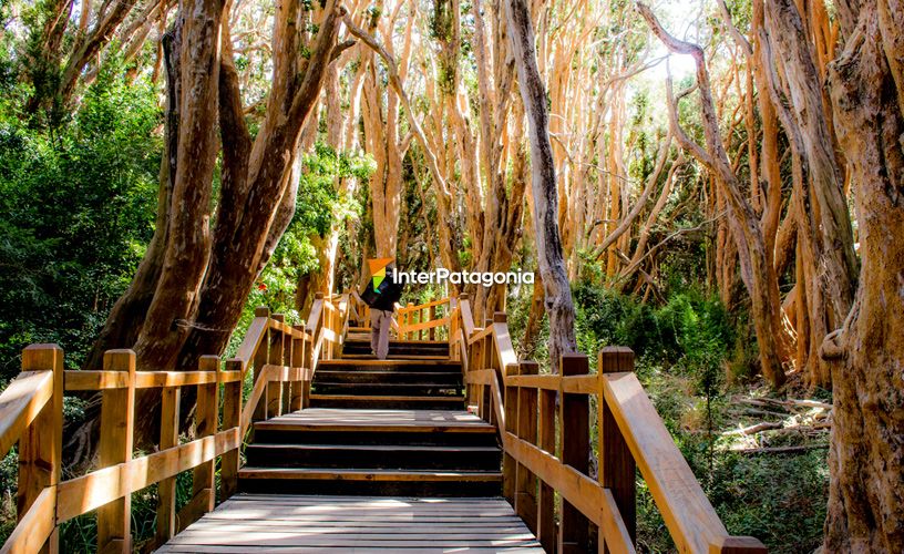 Footbridges were clean and safe