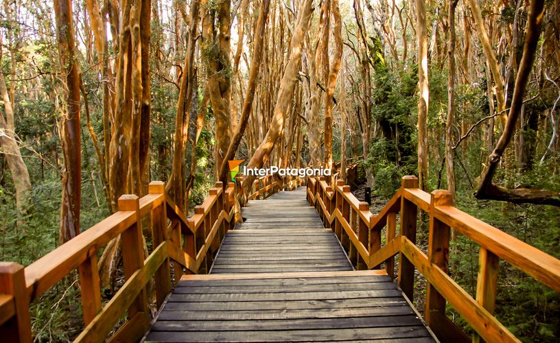 Built on wooden platforms trails