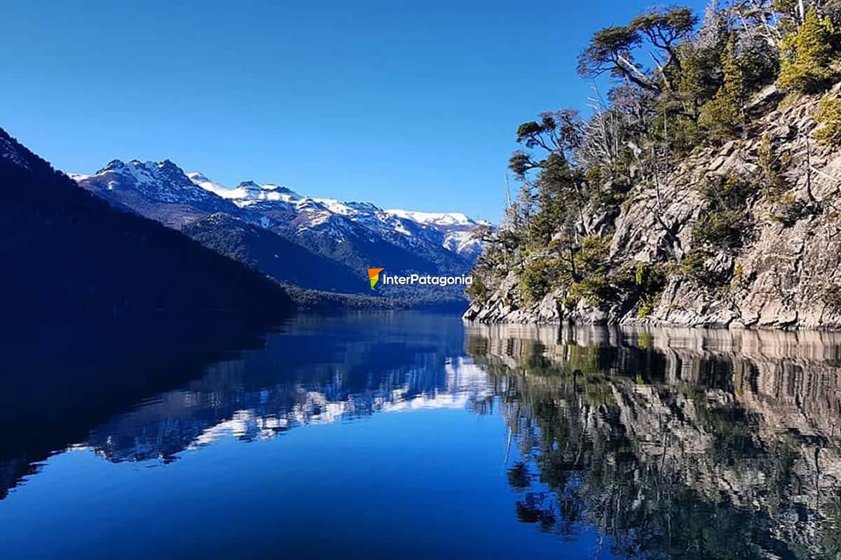 Bosque sumergido en lago traful