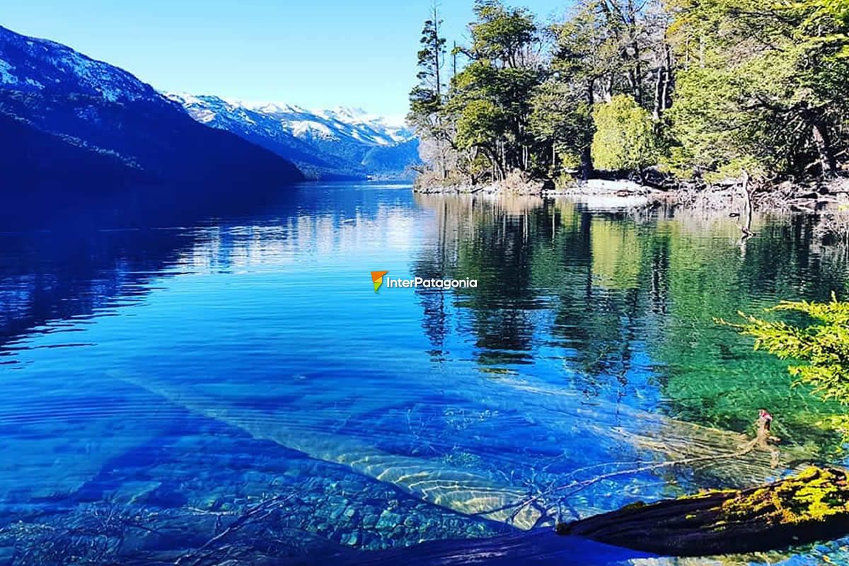 Bosque sumergido en lago traful