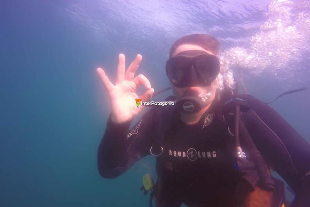 Diving in Las Grutas