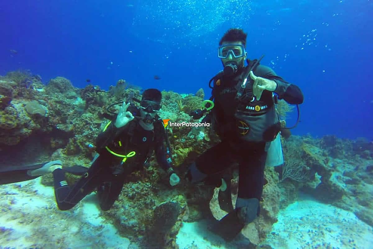 Scuba Diving at Puerto Madryn