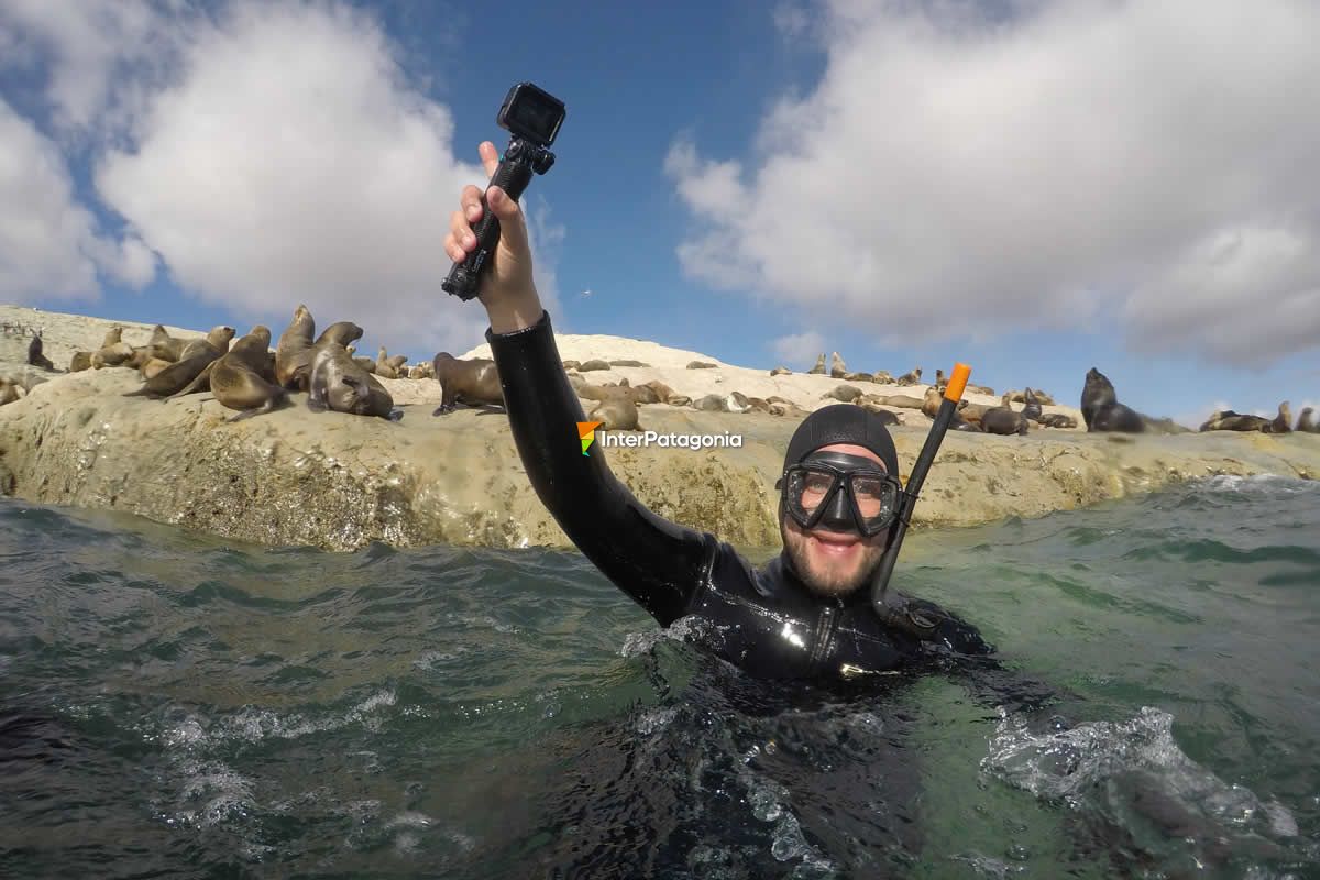 Scuba Diving at Puerto Madryn