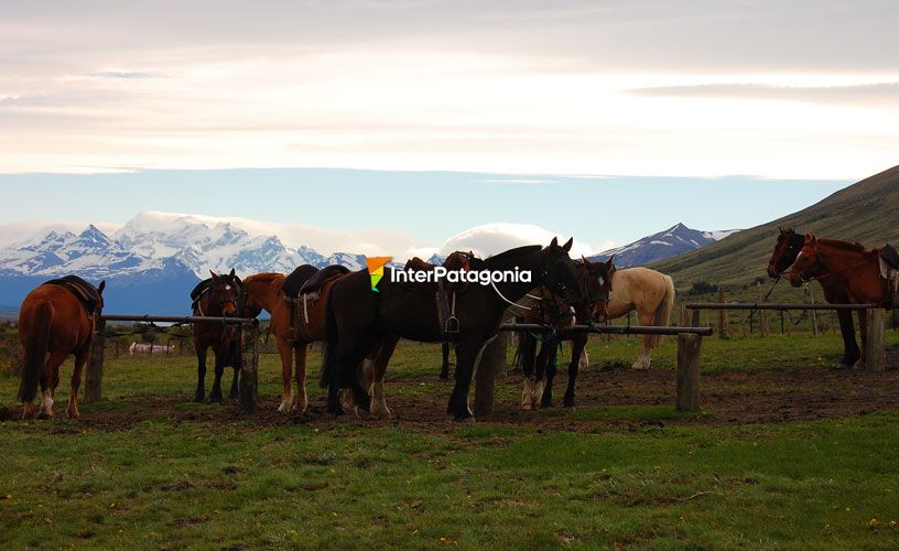 De vuelta en el puesto