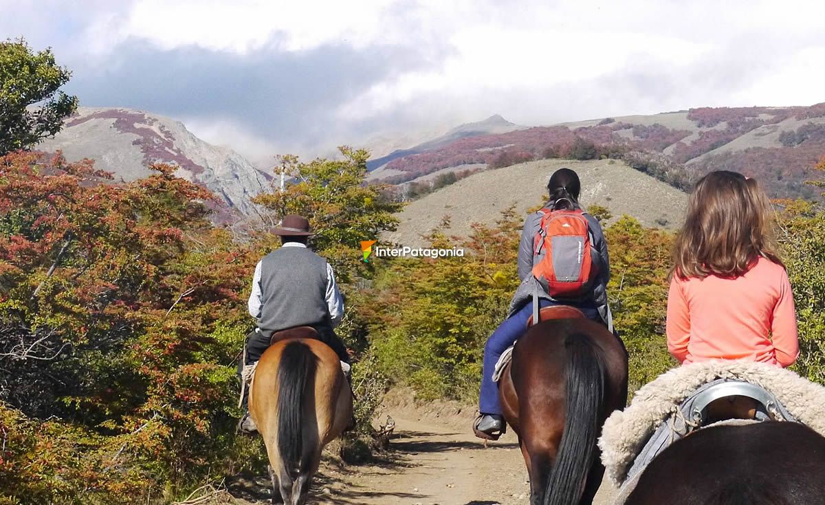 An ideal environment to enjoy horseback riding