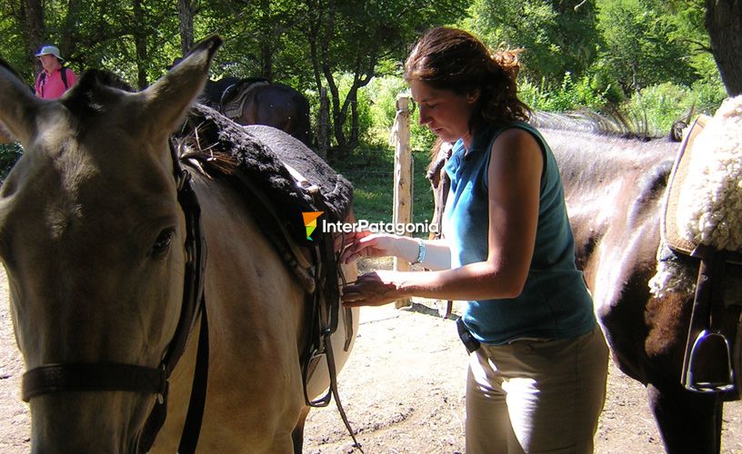 Disfrutar del caballo