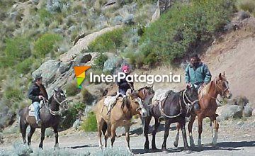 Horse Riding in Patagonia