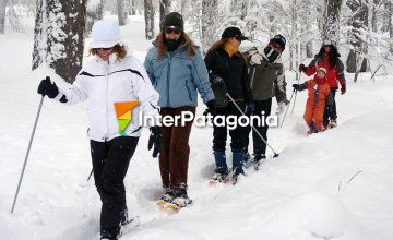 Paseo con raquetas sobre la nieve de Chapelco