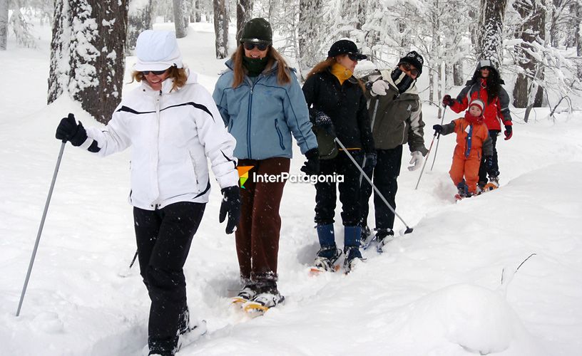 Trekking con raquetas de nieve en Chapelco - San Martín de los Andes