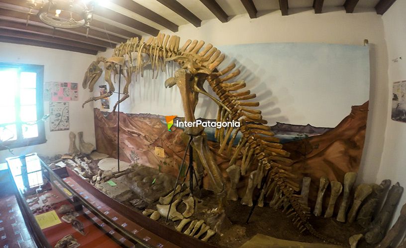 Carnivorous dinosaur that lived in Patagonia