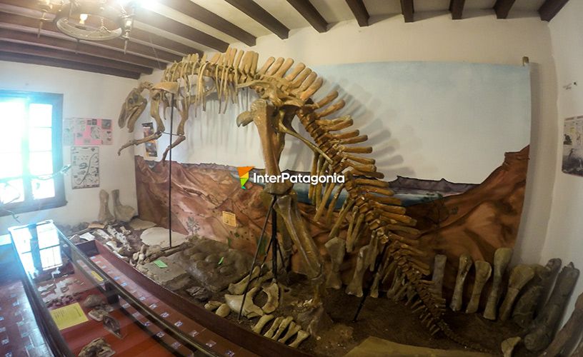 Dinosaurio carnívoro que vivió en la Patagonia