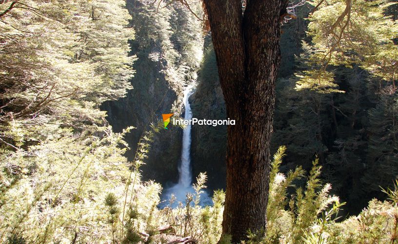 Un salto de agua