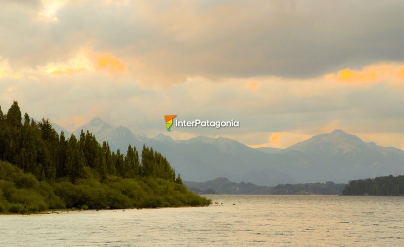 Los bosques se verán beneficiados