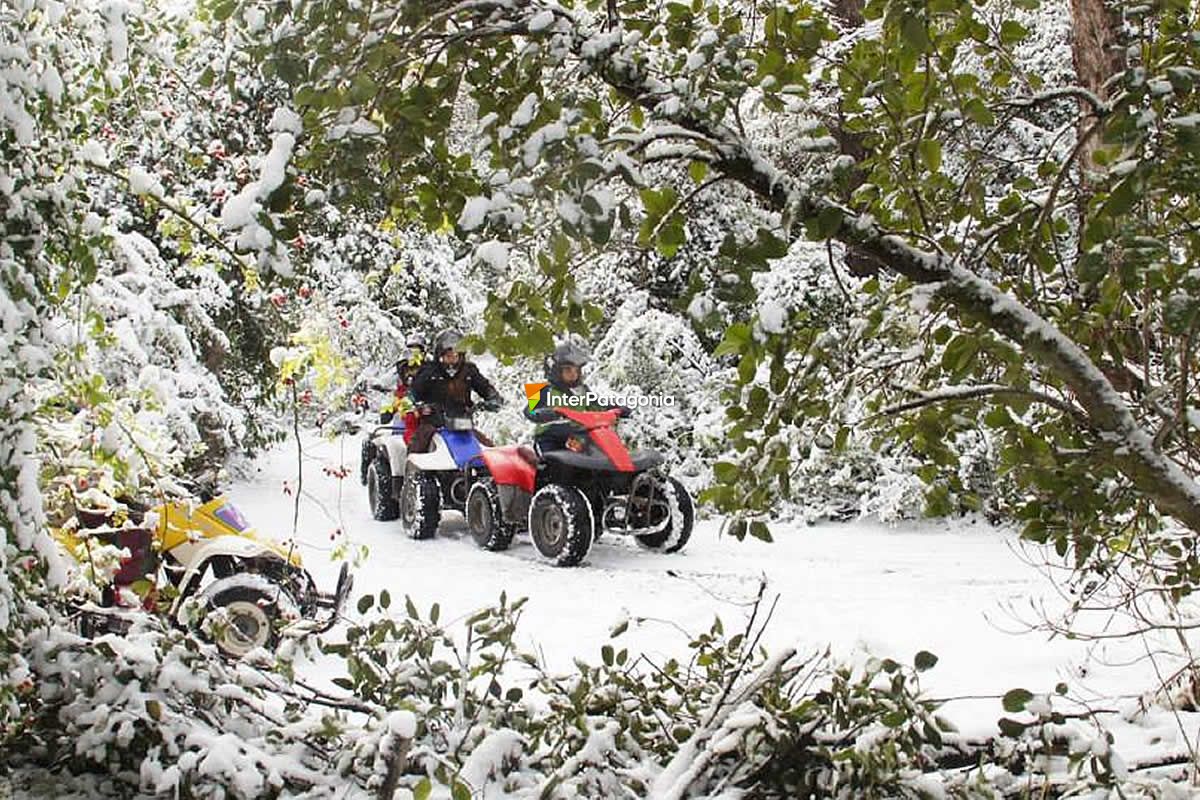 ATV in winter or summer