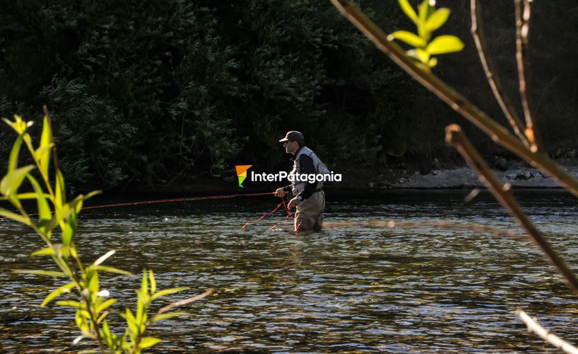 El río Chimehuin