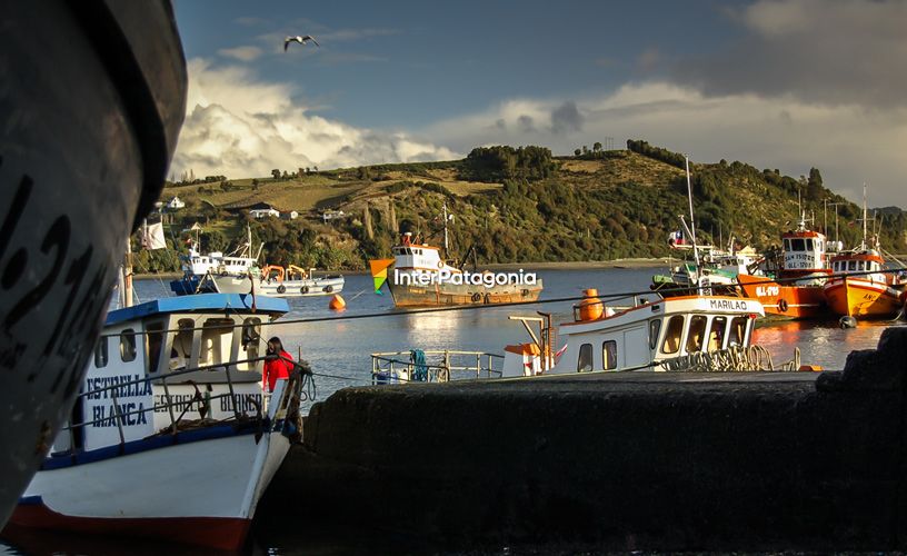 The port with its small fishing boats