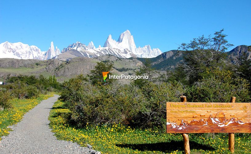 Sendero Lago Viedma