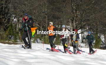 Caminata con raquetas de nieve