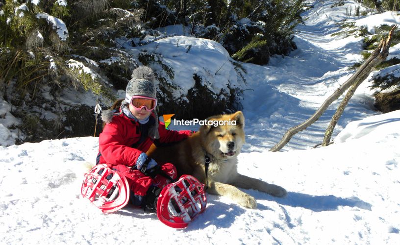 Akita nos acompaña en cada ascenso