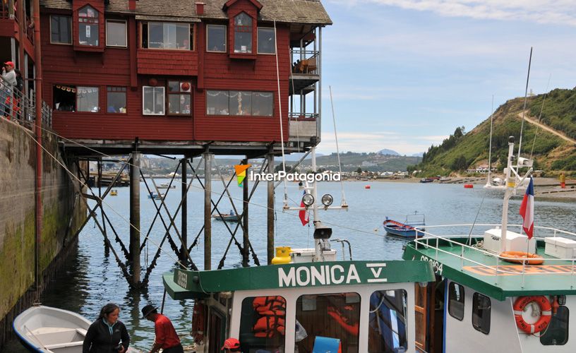 Observar a los pescadores regresar con la pesca del día