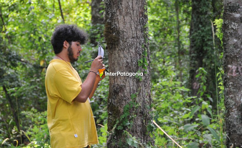 Alumnos de Ingeniería Forestal